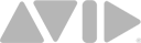 Avid Logo