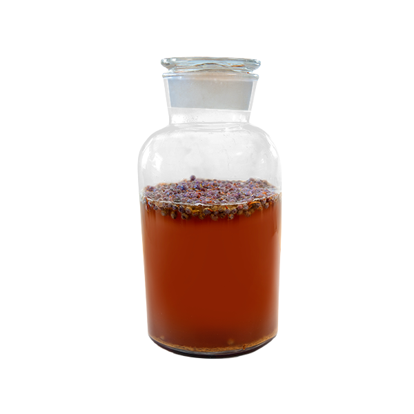 Kombucha